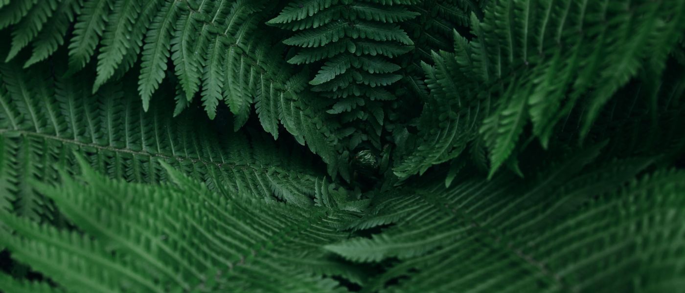 Finding Patterns in Market Data