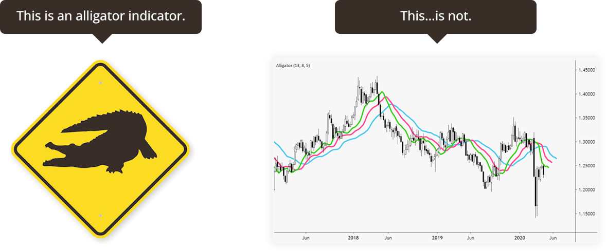 alligator indicator