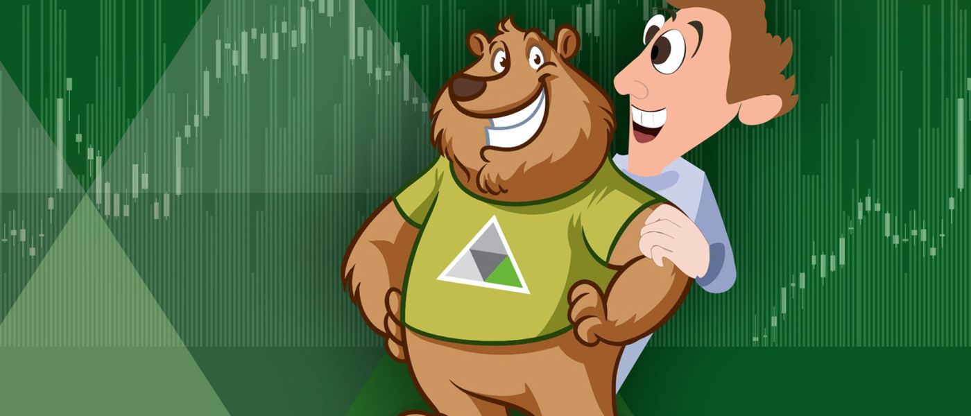 bear market investing strategies