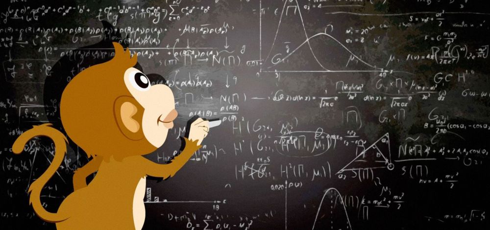 MATH & MONKEYS