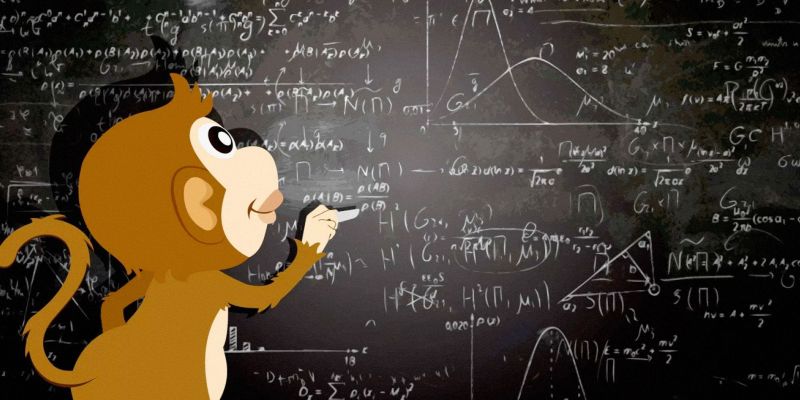 MATH & MONKEYS