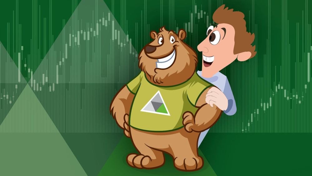 bearmarktbeleggingsstrategieën